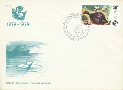 FDC2438
